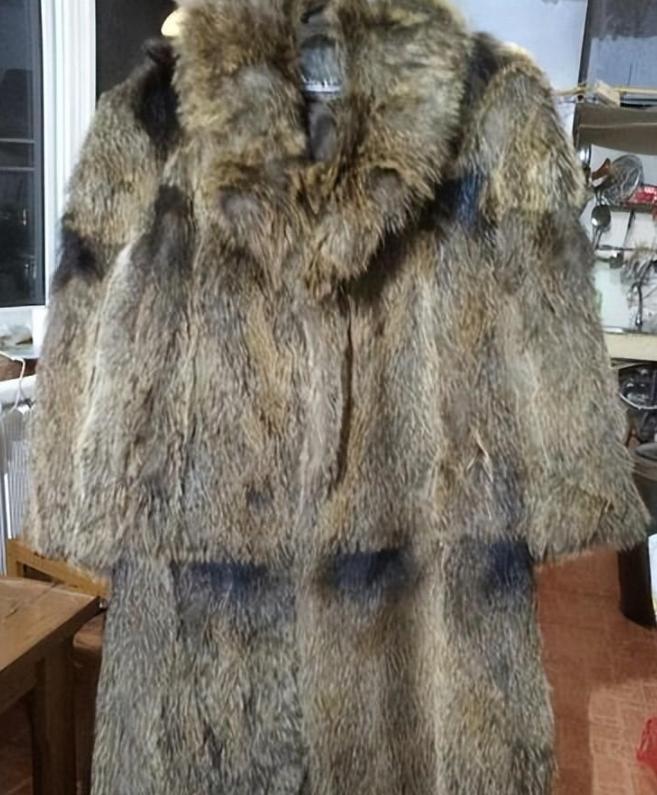 国内惊现巨型老鼠,上海巨型老鼠