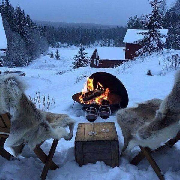 79个难得一见照片，飞机释放烟雾弹，逃票的女乘客，飞翔的蝙蝠