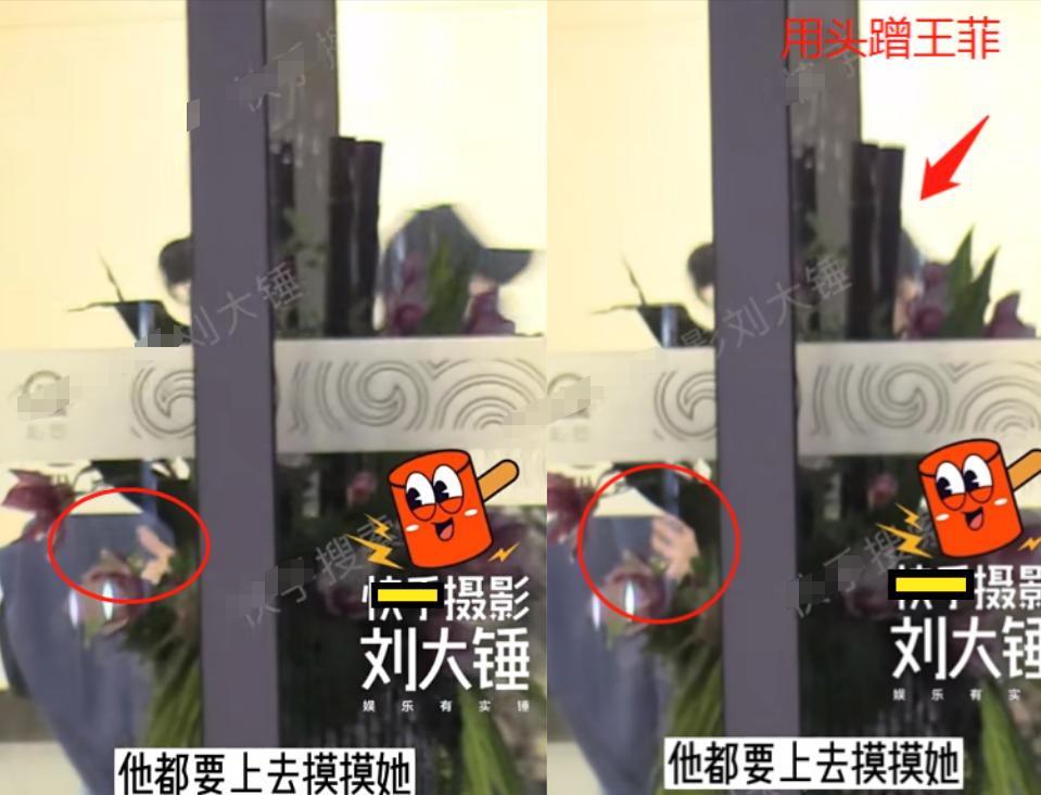 谢霆锋王菲情史回顾,谢霆锋王菲感情稳定