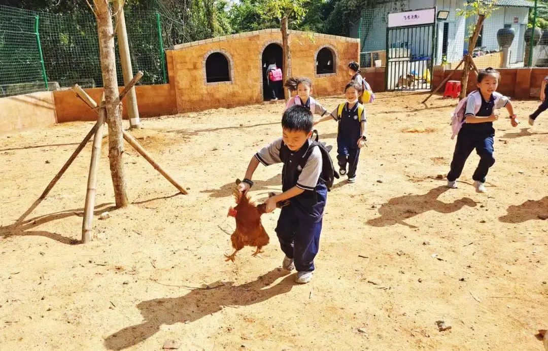 六一去哪里玩最好市区,六一温江遛娃好去处