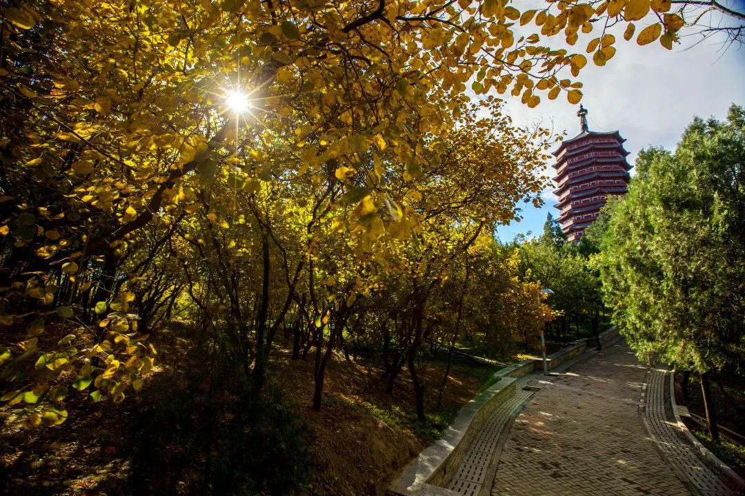 丰台的秋景大片，等您来定格！