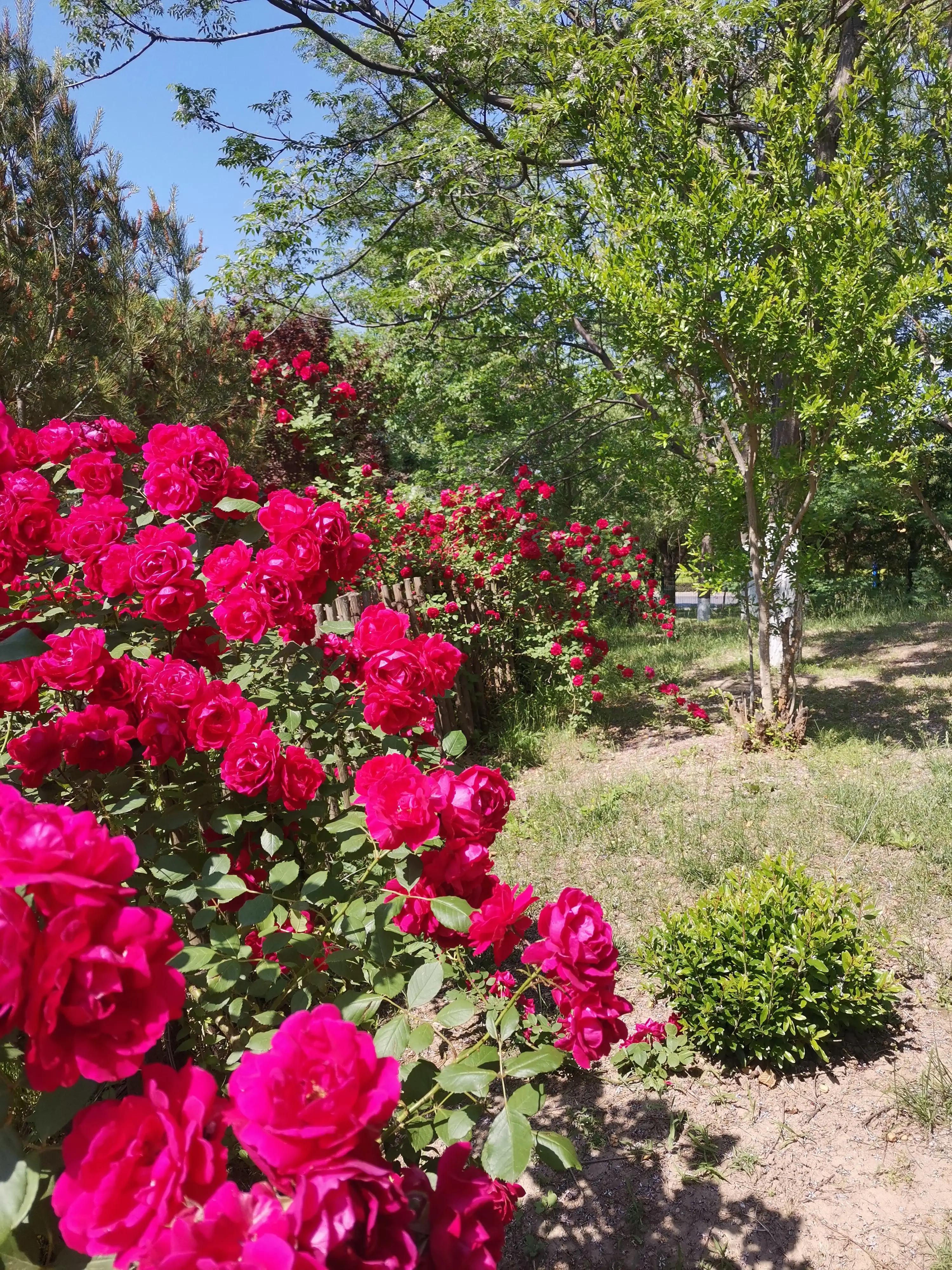 指缝太宽怎么补救,时光太瘦指缝太宽