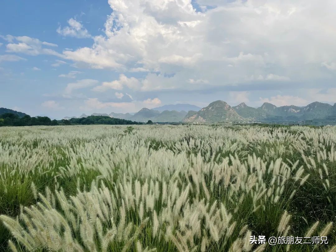 广州出发-英德1天游，美拍狗尾巴草，打卡巧克力小镇，千亩茶园