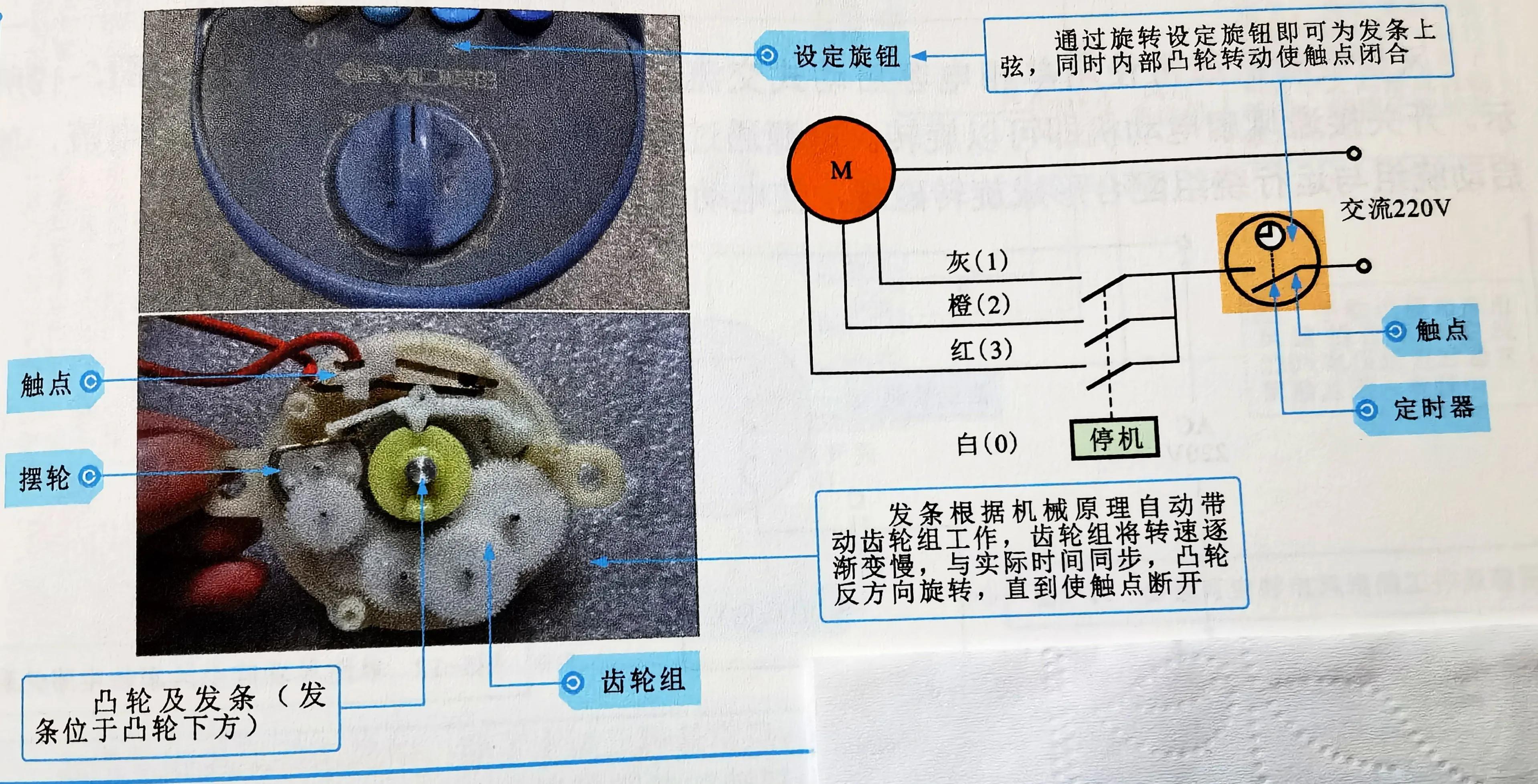 红双喜电风扇内部结构,手动电风扇内部结构图片