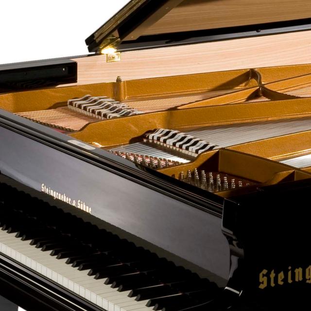 钢琴品牌steinwaysons价格,施坦威钢琴十大品牌