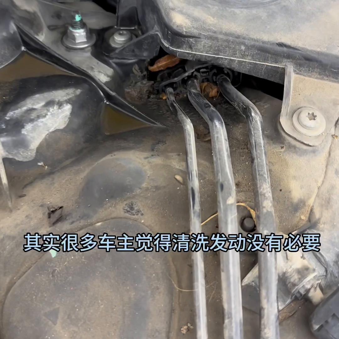 精洗到底是什么意思,精洗内饰深度清洗