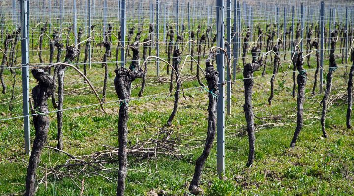 拼多多被谷歌下架整改没有,拼多多谷歌下架影响大吗