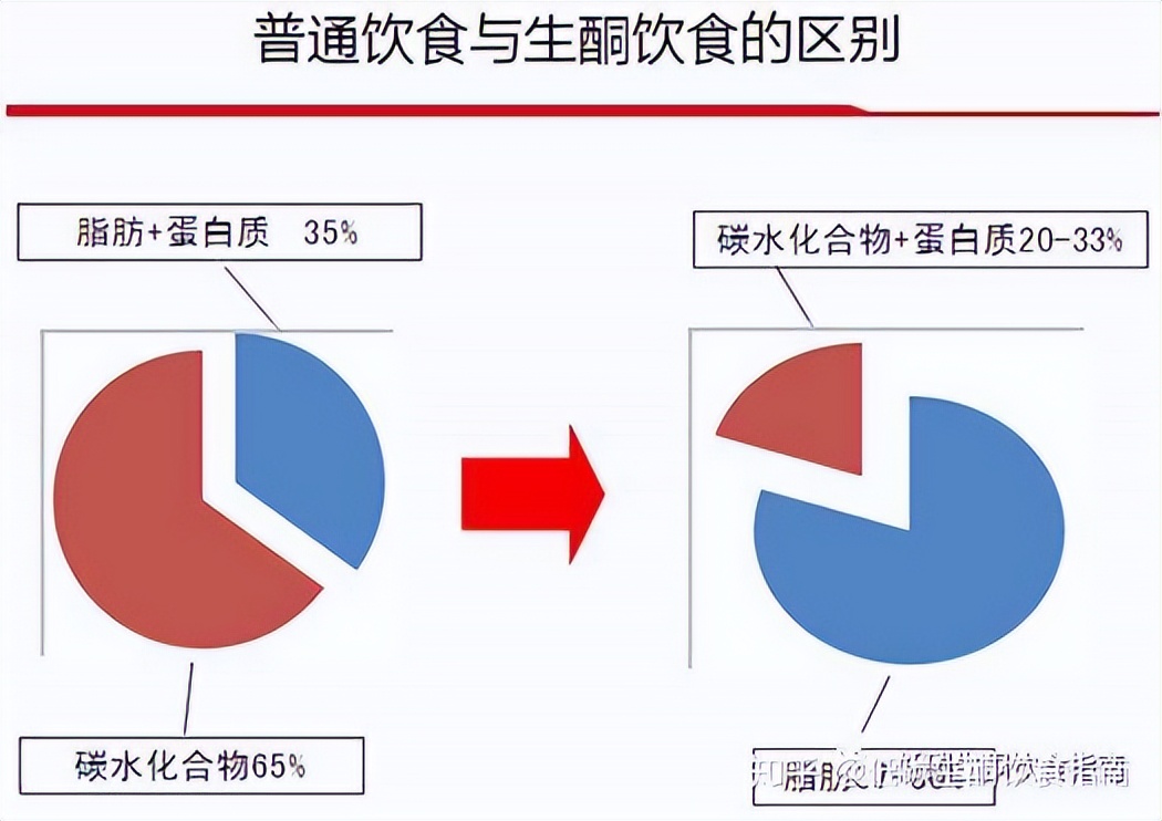 生酮饮食新手指南，教你一招，轻松减肥