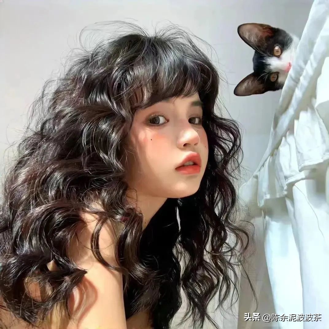 可爱的猫咪头像和小狗头像,团子头像可爱微信头像