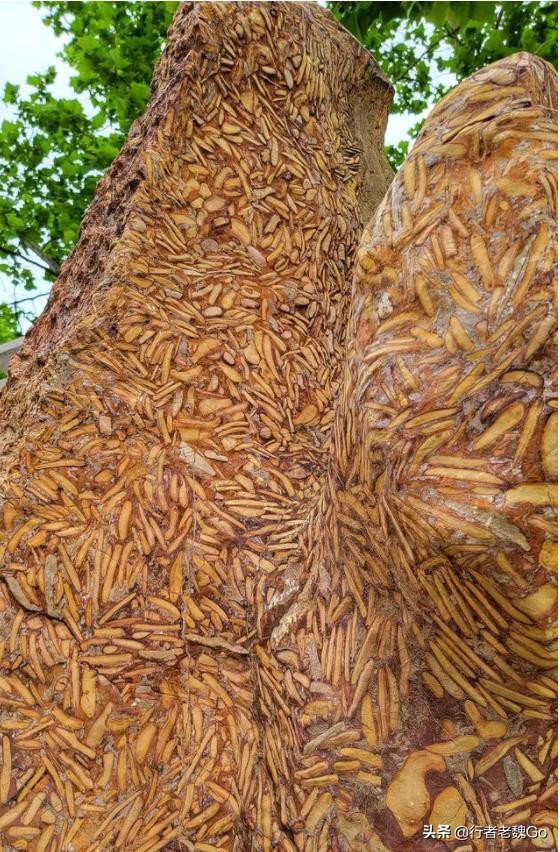 武当山南岩玄武石碑之谜,武当山之谜完整版