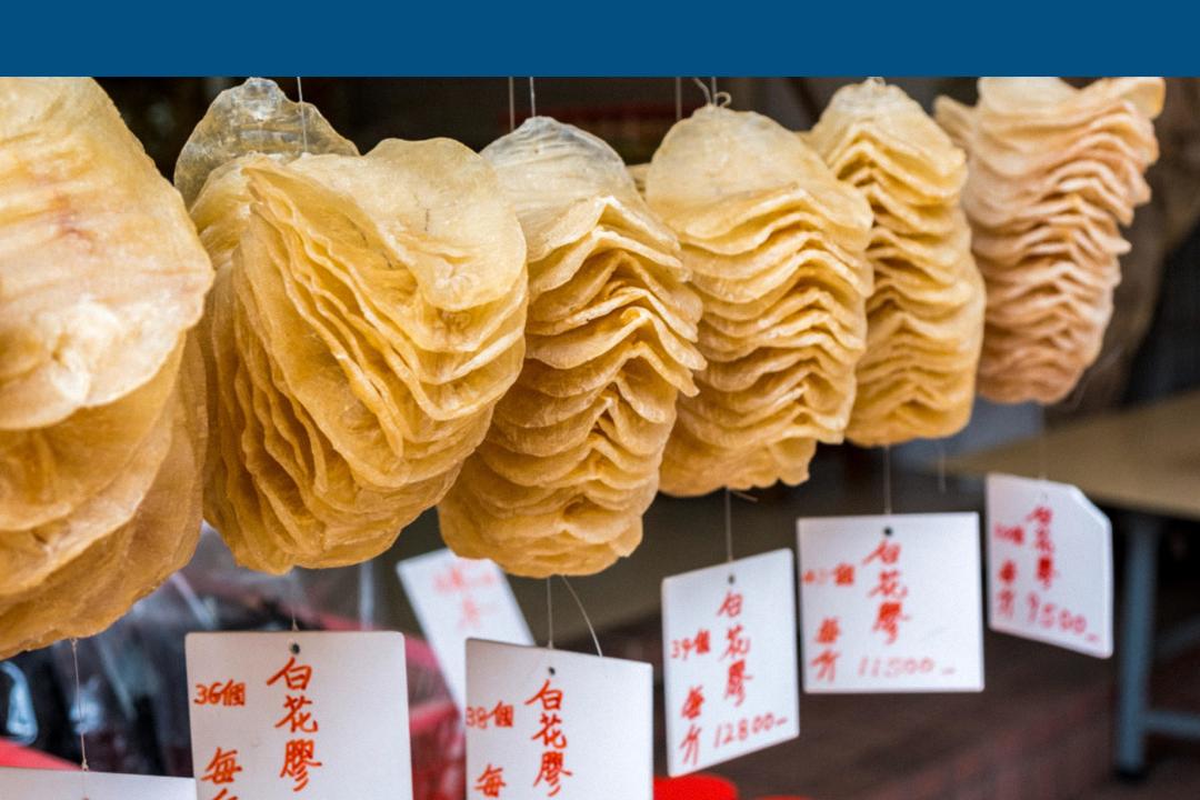 花胶非常难入口吗,花胶的内幕