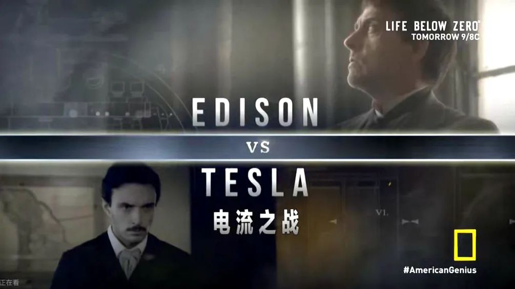 神仙打架！国家地理宝藏纪录片，教会孩子如何竞争