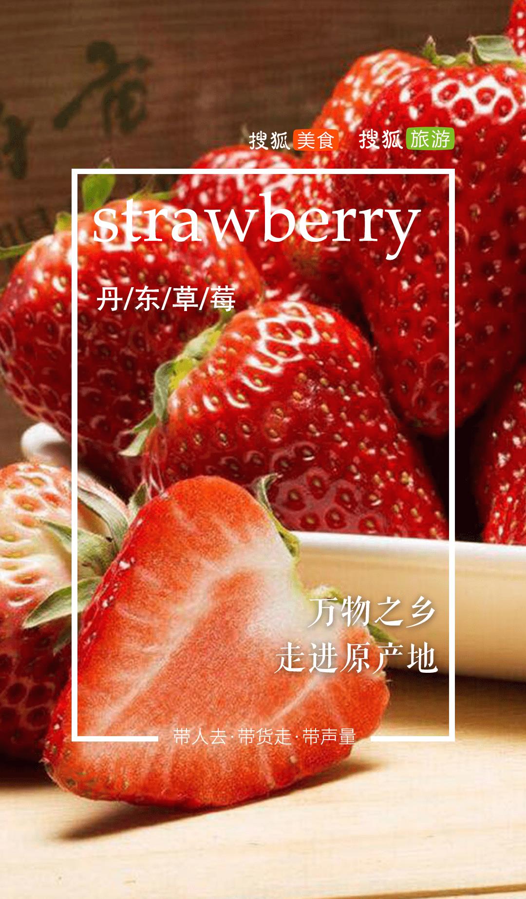 日本草莓对比丹东草莓,大凉山草莓和丹东草莓哪个好吃