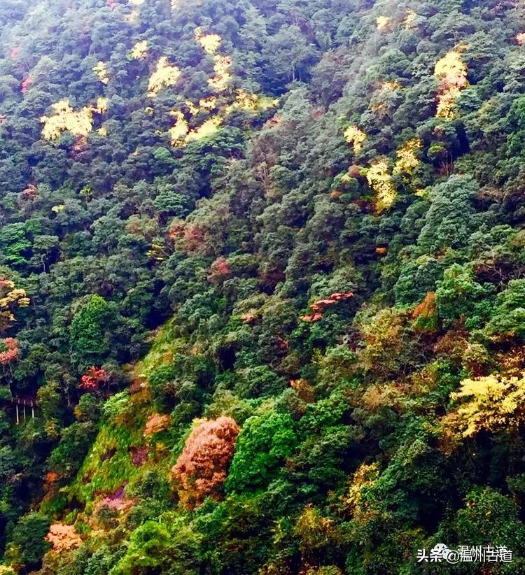 温州市2022年人口最多的镇,温州市各乡镇人口排名