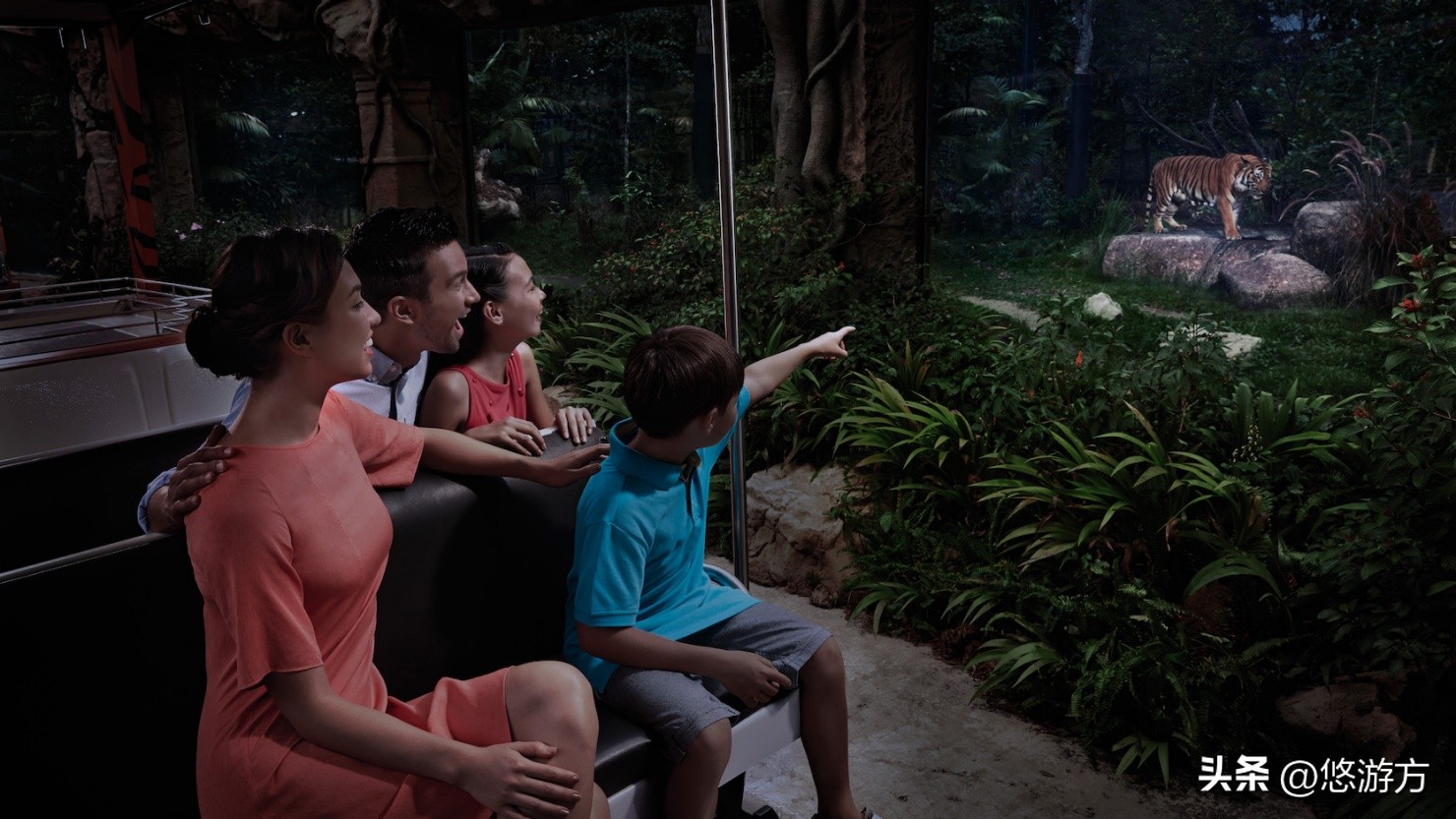 新加坡狮城景点,狮城新加坡