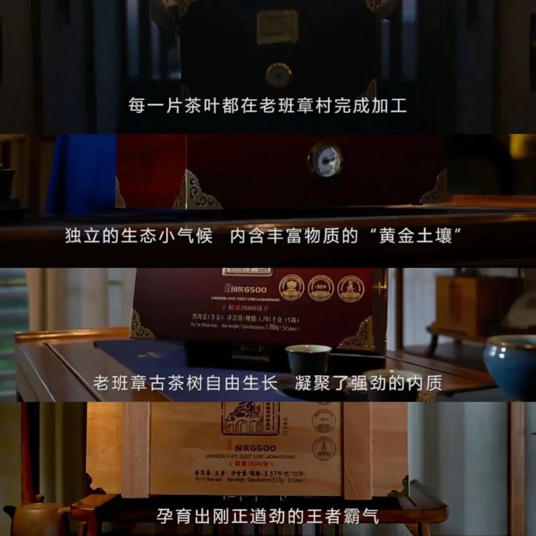 老班章春茶开始了吗,老班章当年春茶多少钱一片