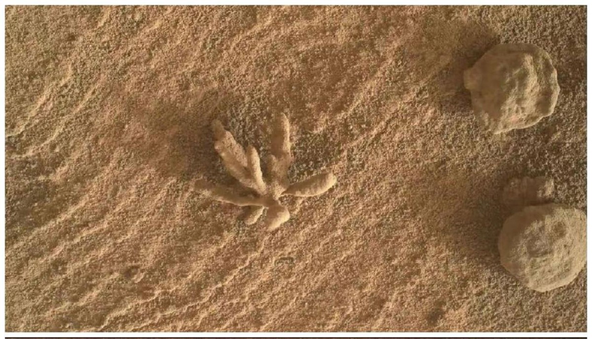 火星上有蛇好奇号传回诡异照片,好奇号火星不明飞行物