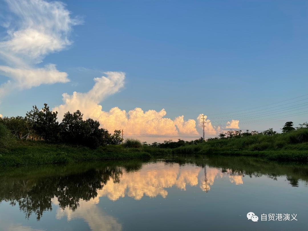 坐公交逛深圳,坐公交逛一个城