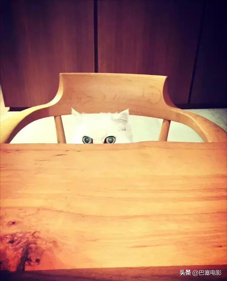 目前郑伊健靠什么生活,郑伊健低调笑谈婚后生活