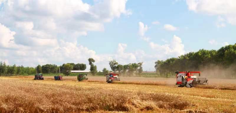 乡村振兴看安化,白城市平台镇乡村振兴