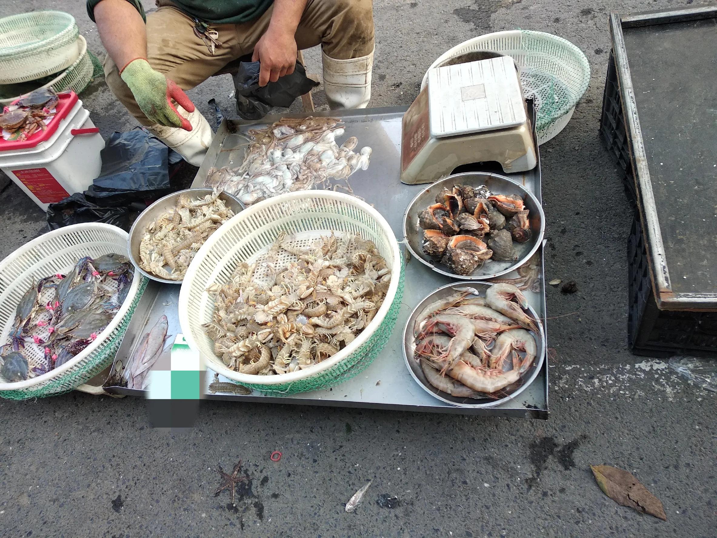 小海鲜怎么处理才好吃,处理海鲜小妙招只需一招干净好学