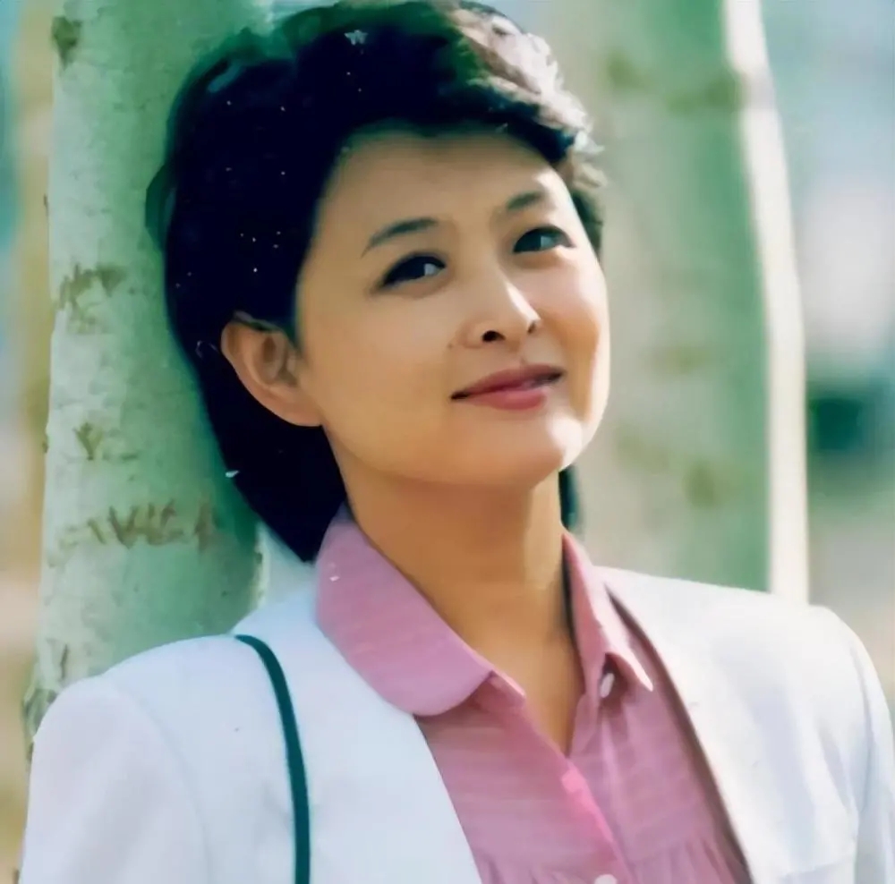 已经退休的12位央视著名主持人,已经退休的12位央视主持人