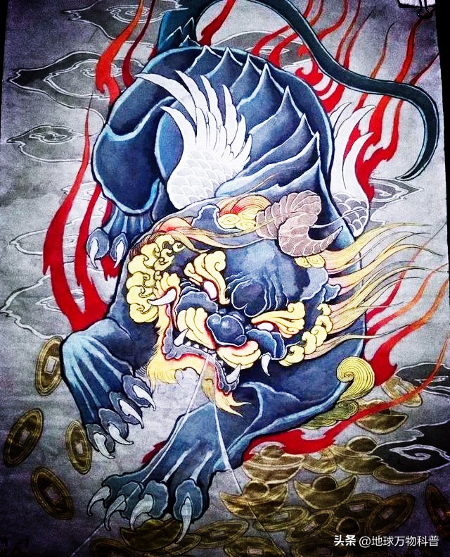 万物知识科普,万物科普解说