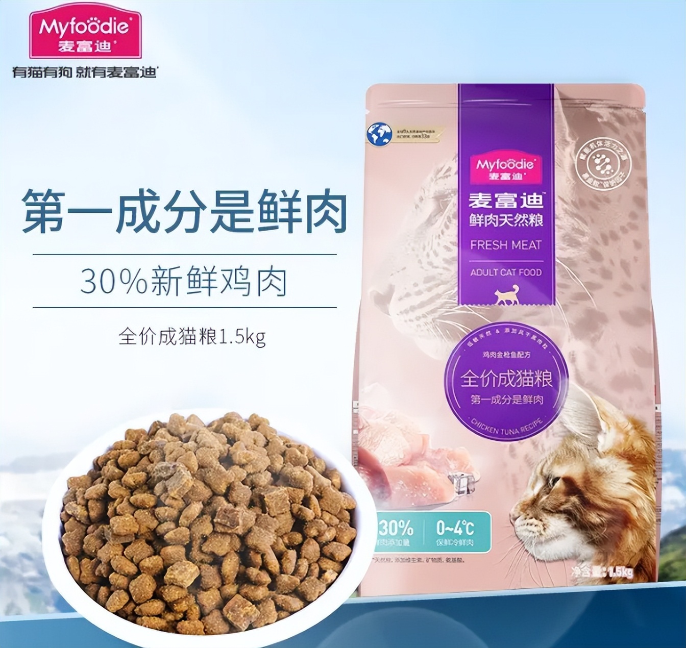 新手养猫不迷路，第一次养猫准备这些就够了