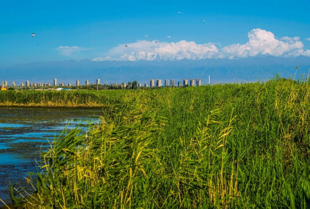 头屯河谷“拍了拍”你，自媒体短视频大赛火热来袭~
