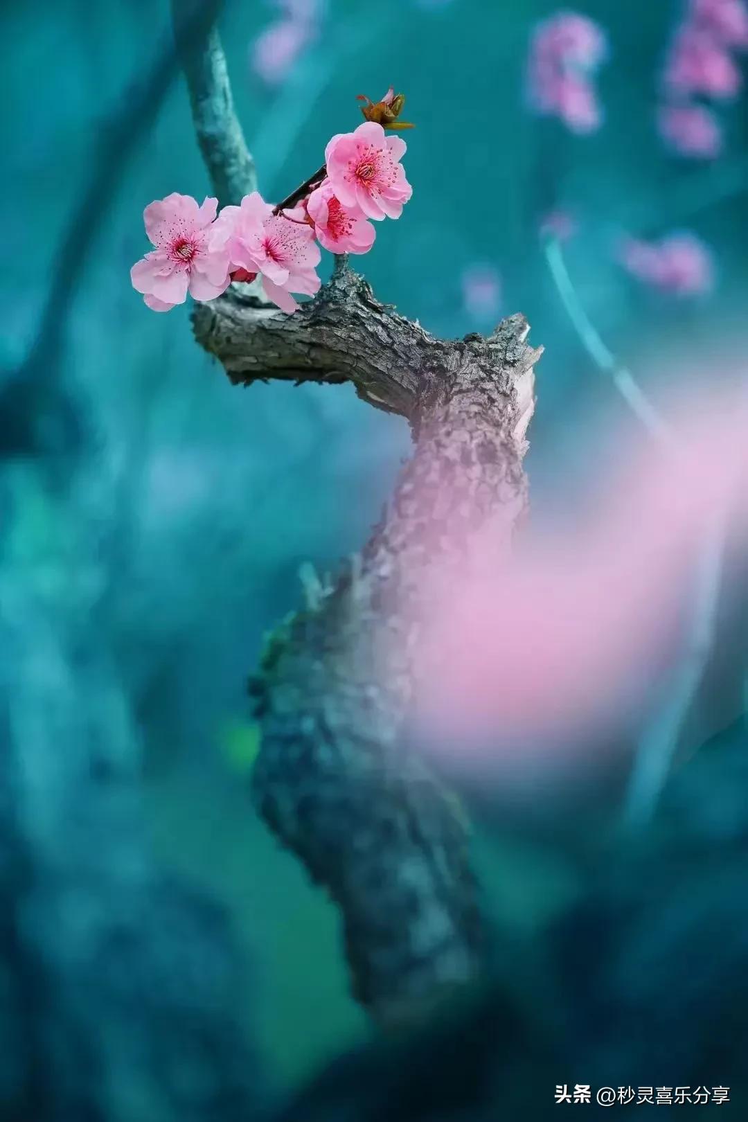 怎么缓解害怕死亡心理焦虑,死亡焦虑和死亡恐惧