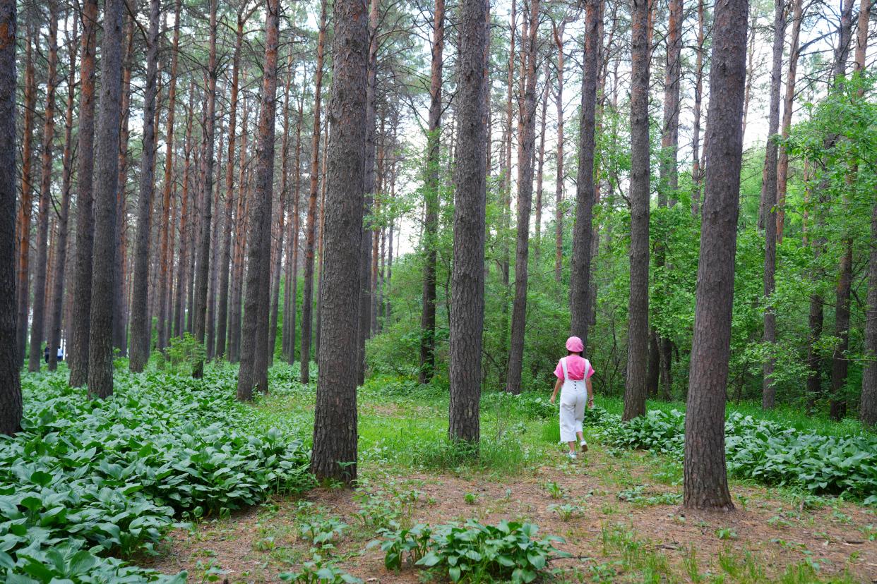 夏天去长春旅行攻略,长春旅行夏季攻略最新版