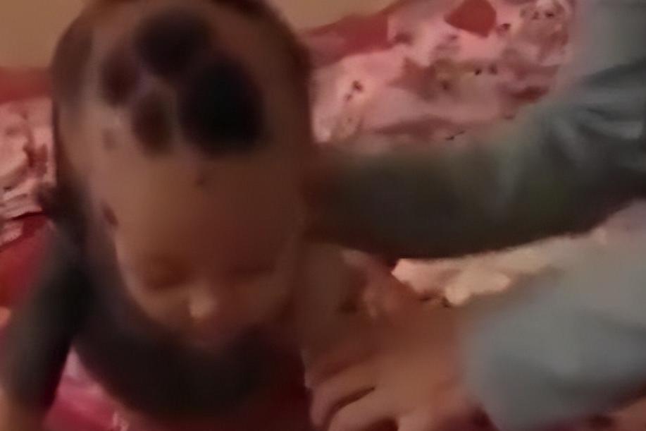 福建孕妇生下黑宝宝,福建孕妇生下熊猫宝宝抖音