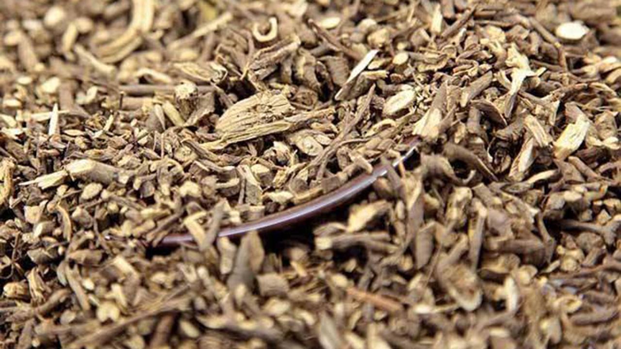 辟谣丨抗生素就是消炎药吗？两大常用抗生素，很多人都用错了