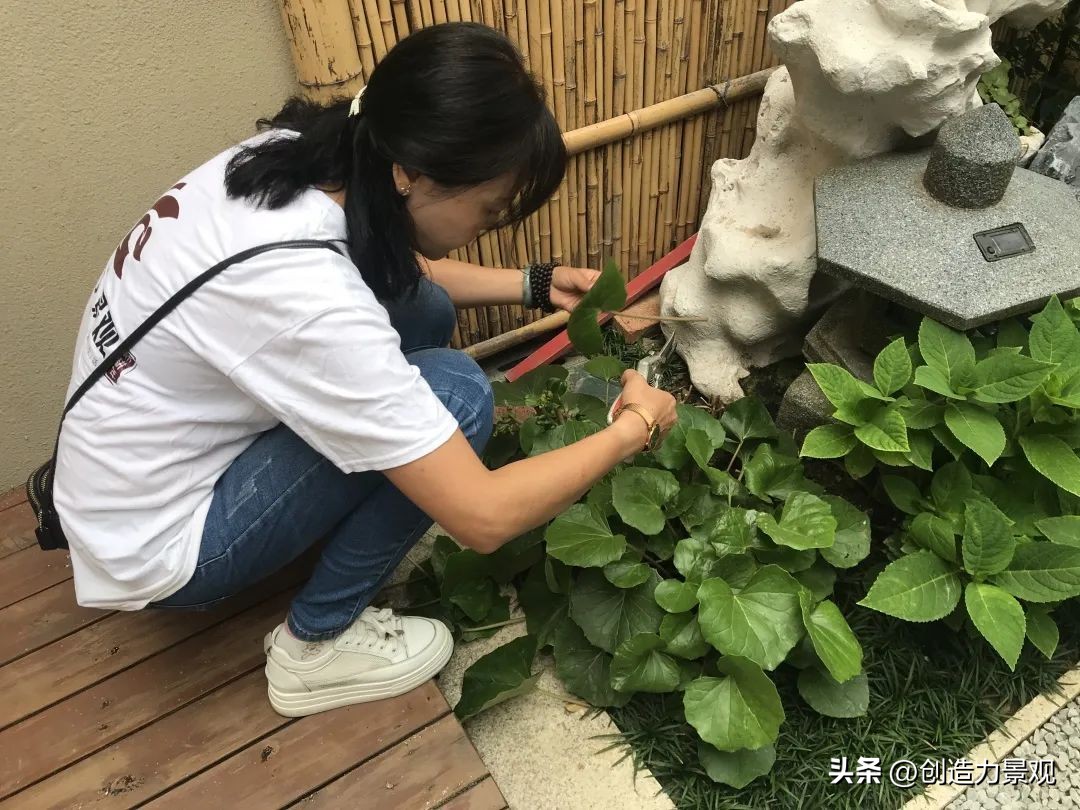 周末回访老客户的文案,回访老客户的主题