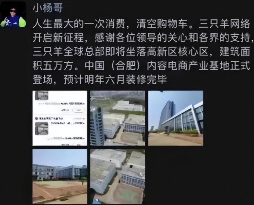 砸1亿买楼、名下多家公司…疯狂小杨哥的资产到底有多惊人?