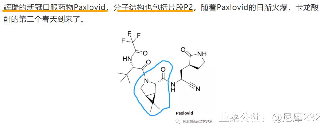 雅本化学发布公告,雅本化学最新预测