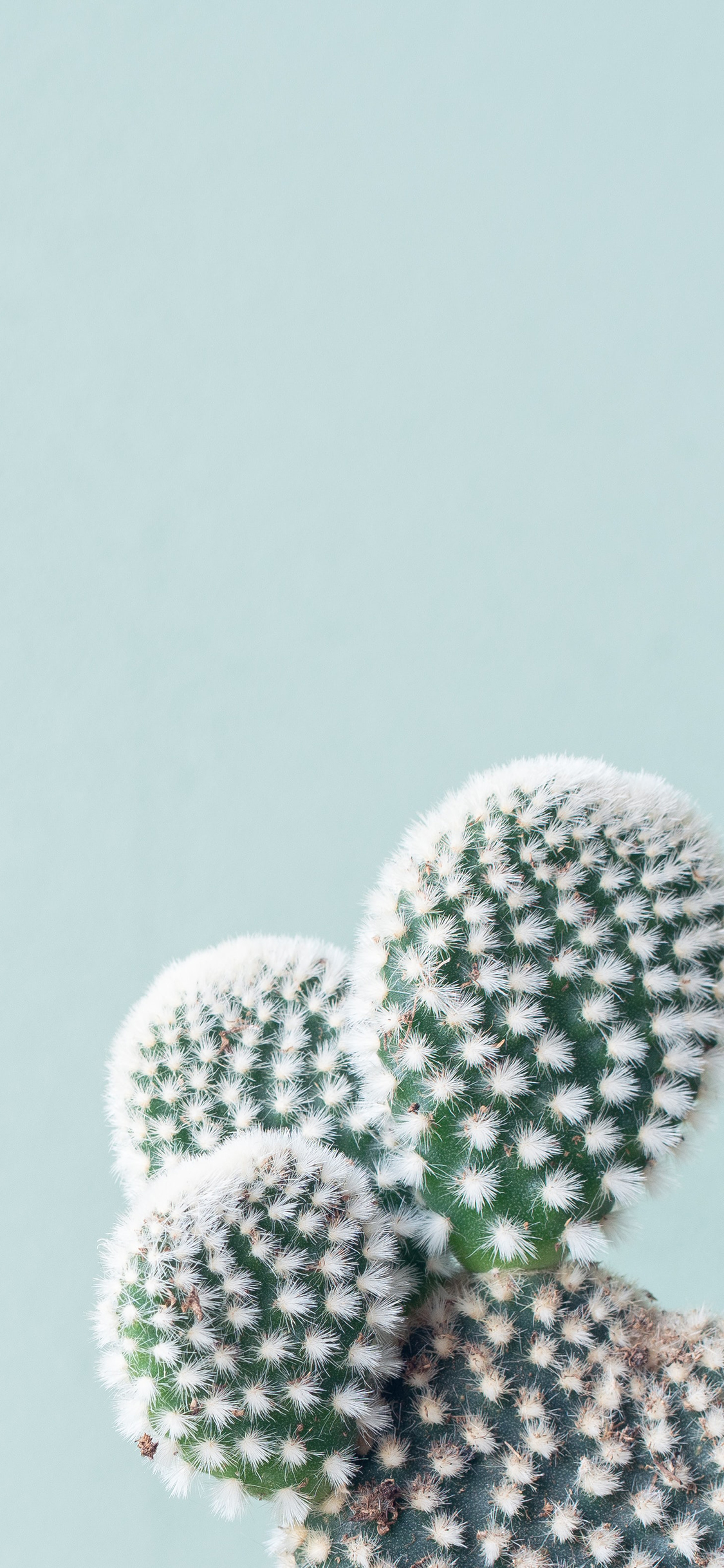 2023年手机壁纸,2023年最新款超清手机壁纸