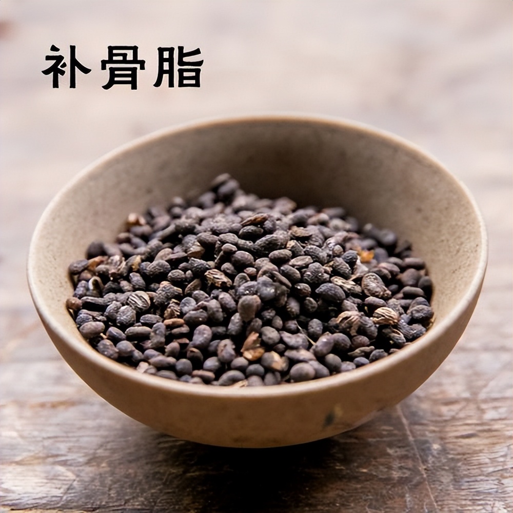 腰肾阳虚双补的千年古方,专治腰痛的老古方汤剂