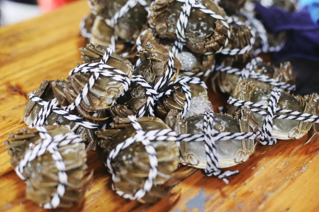 春来夏往，秋收冬藏，带你感受沙家浜的四季，别错过身边的美好