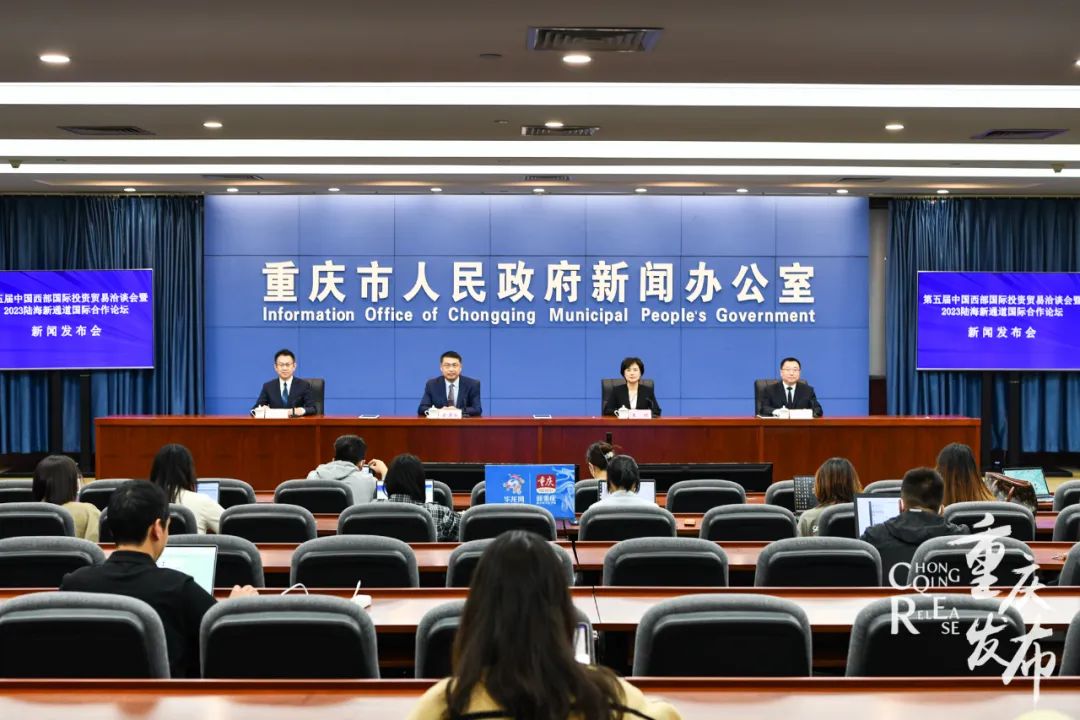 国际友人来重庆,国际友人到访中国