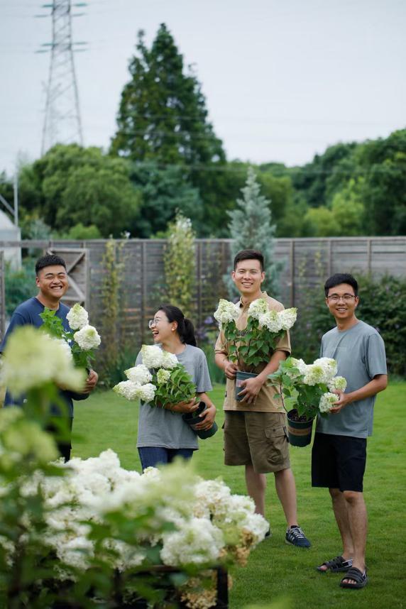园艺电商怎么做好销售的,园艺电商怎么做得快呢视频