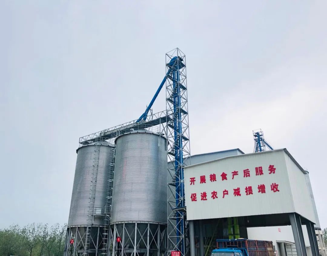 粮食科技活动周宣传资料,粮食科技周宣传活动照片