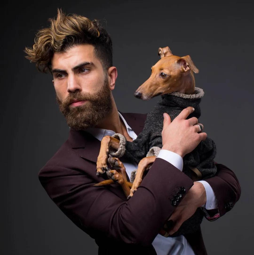 一只流浪狗被收留后成功的逆袭了,一只被遗弃狗狗的逆袭之路