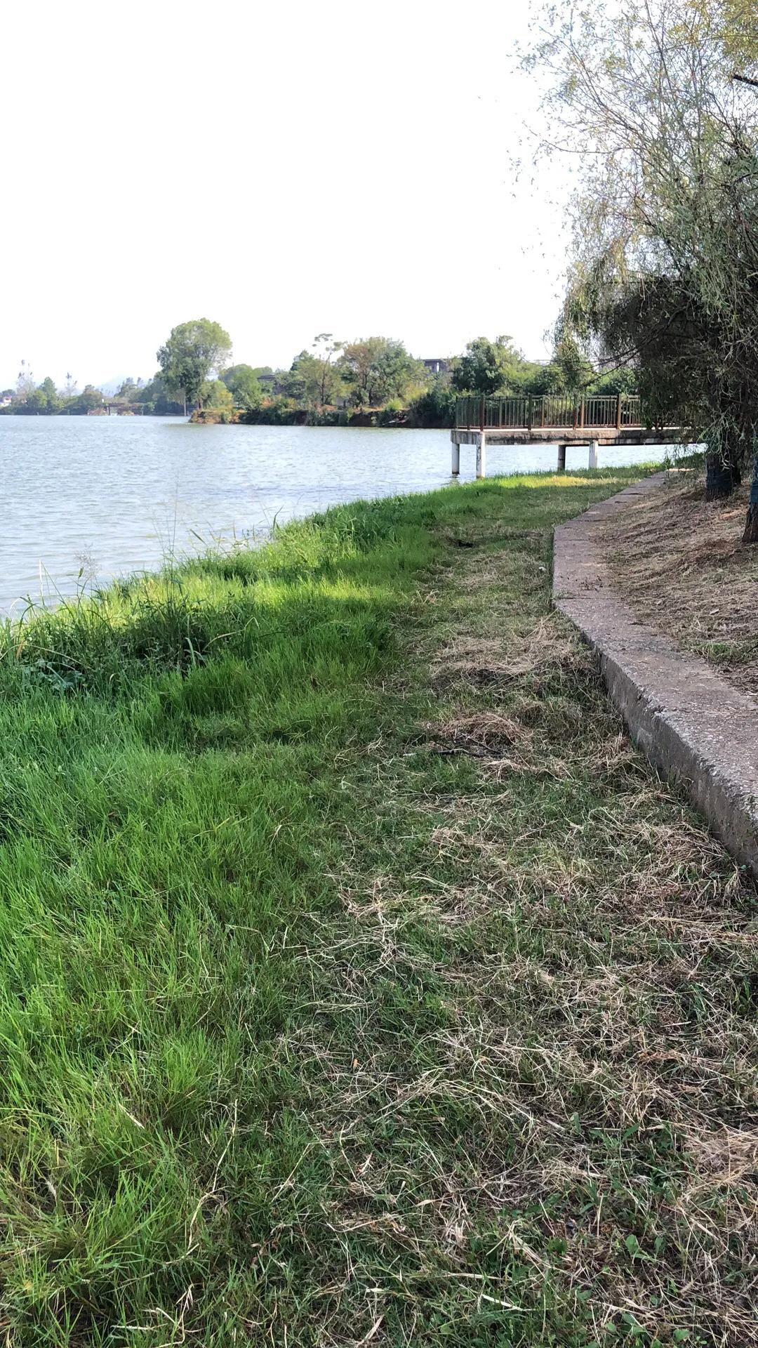 钓鱼方法与技巧野钓入门,路亚钓鱼技巧新手入门