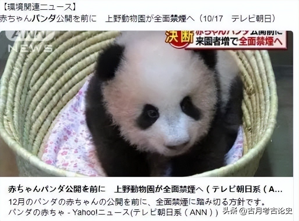 旅日大熊猫回国日本人反应,四只旅日大熊猫陆续归国