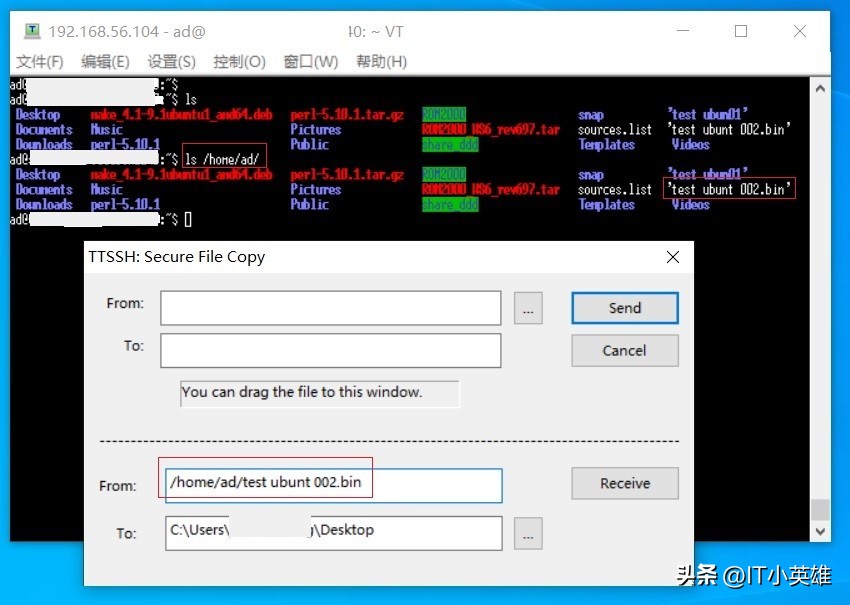 虚拟机怎么和主机复制粘贴文件,虚拟机复制到主机文件没有权限