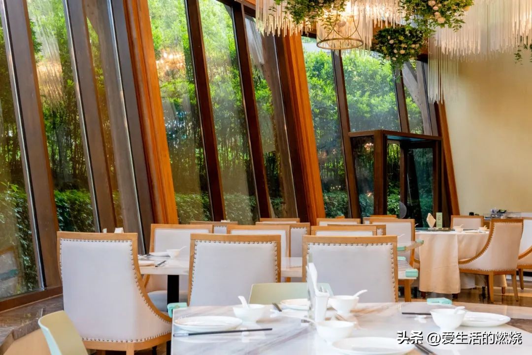 杭州森泊开元度假酒店不含门票,杭州开元森泊度假酒店存在的问题