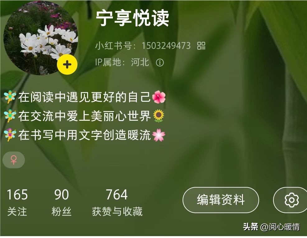 跟着厦九九学做小红书：新手可以多关注这8点