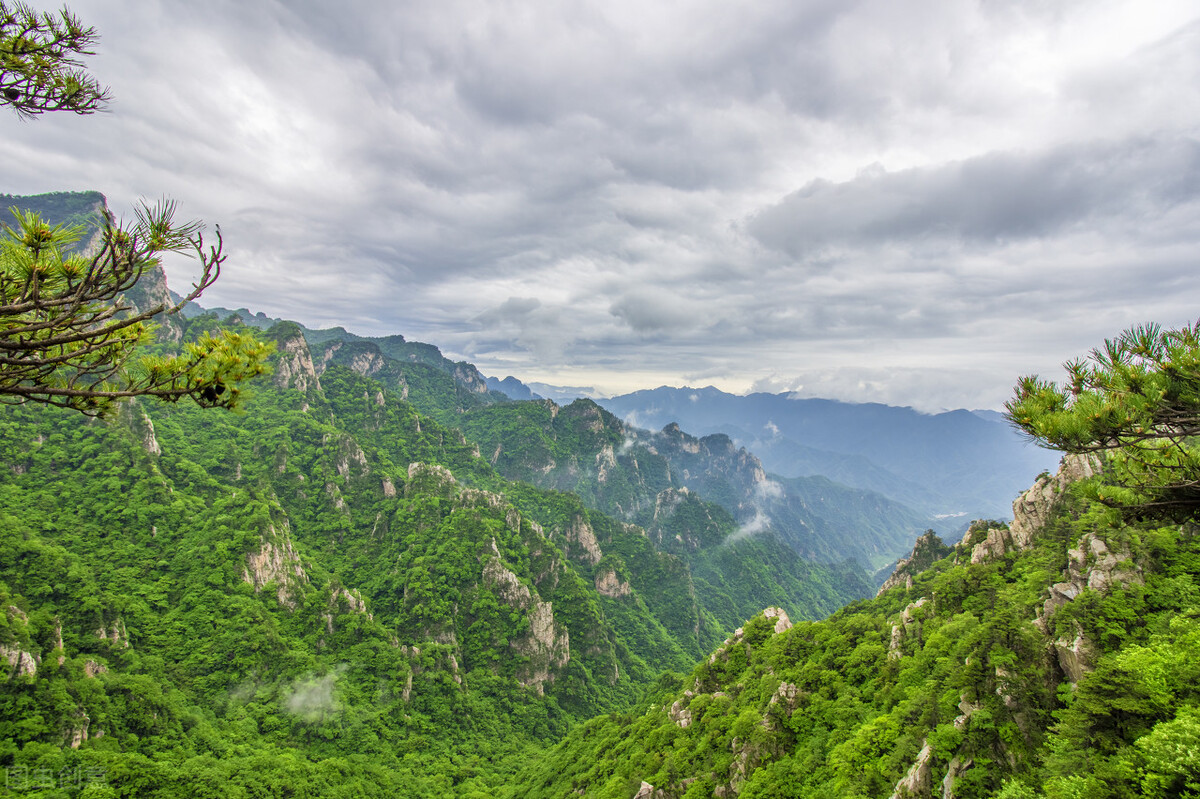 郭进拴,郭进拴令人惊心动魄的生死守护