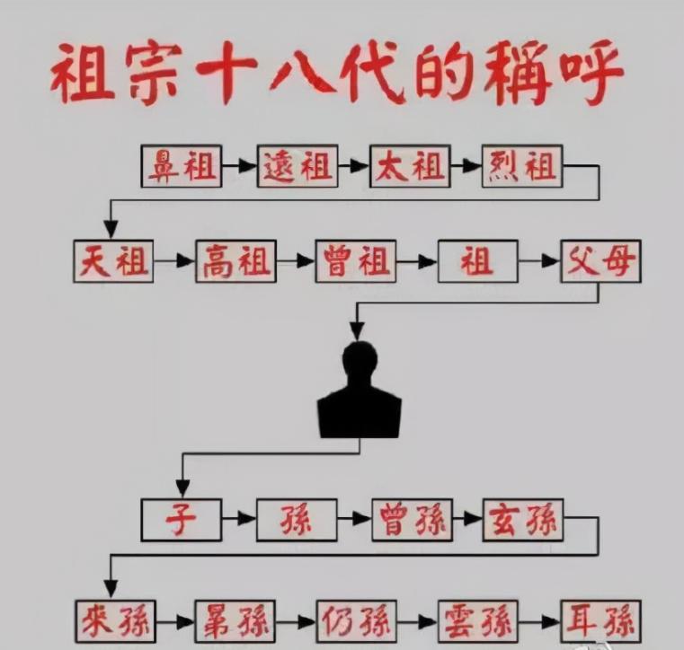 “客厅养树，十有九富”！老祖宗留下的“规矩”，说的太有道理了